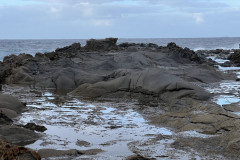 Charco de Las Palomas, Gran Canaria 21