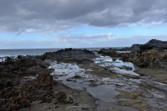 Charco de Las Palomas, Gran Canaria 22