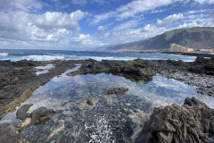 Charco Los Chochos, Tenerife 18