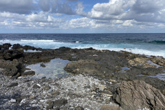 Charco Los Chochos, Tenerife 27