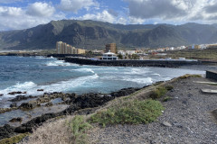 Charco Los Chochos, Tenerife 29