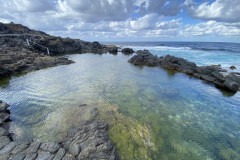 Charco Los Chochos, Tenerife 53