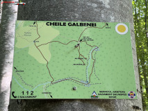 Cheile Galbenei 15