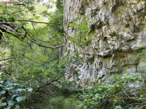 Cheile Gârliștei 25