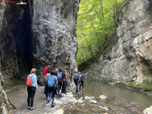 Cheile Râmețului 25