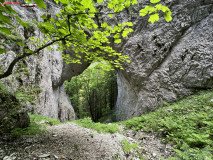 Cheile și Scocul Urzicarului 27