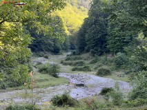 Cheile Sighiștel 17