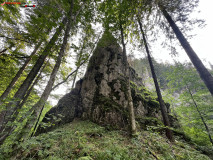 Cheile Someșului Cald 53