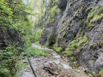 Cheile Șugăului 11