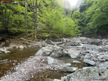 Rezervatia Naturala Tisita, Cheile Tisitei 24