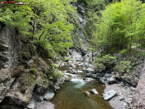 Rezervatia Naturala Tisita, Cheile Tisitei 26