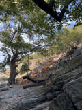 Christ Gorge, Samothraki, Grecia 24