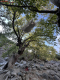 Christ Gorge, Samothraki, Grecia 29