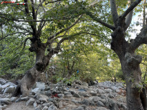 Christ Gorge, Samothraki, Grecia 31