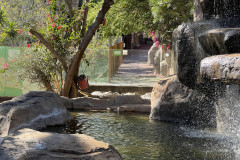 Cocodrilo Park Gran Canaria, Gran Canaria 108