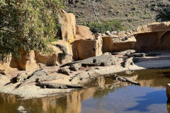 Cocodrilo Park Gran Canaria, Gran Canaria 111