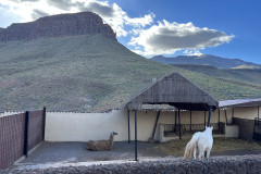 Cocodrilo Park Gran Canaria, Gran Canaria 150