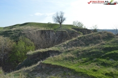 Complexul arheologic Piscul Crasani 44