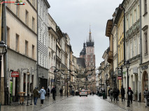 Cracovia, Polonia 15