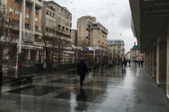 Craiova 10 martie 2016 75