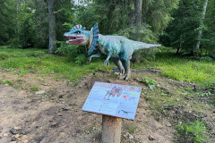 Dino Park - Stana de Vale  106