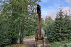 Dino Park - Stana de Vale  119