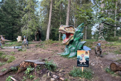 Dino Park - Stana de Vale  159