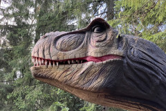 Dino Park - Stana de Vale  79