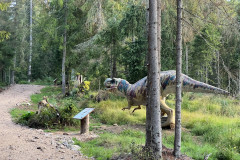 Dino Park - Stana de Vale  86