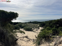 Duna De Valdevaqueros, Tarifa, Spania 07