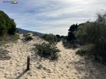 Duna De Valdevaqueros, Tarifa, Spania 08