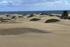 Dunele din Maspalomas, Gran Canaria 07