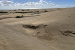 Dunele din Maspalomas, Gran Canaria 10