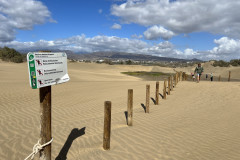 Dunele din Maspalomas, Gran Canaria 101