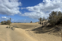 Dunele din Maspalomas, Gran Canaria 104