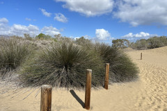 Dunele din Maspalomas, Gran Canaria 107