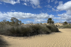 Dunele din Maspalomas, Gran Canaria 108