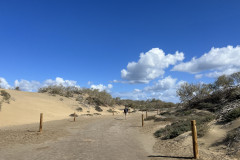 Dunele din Maspalomas, Gran Canaria 110