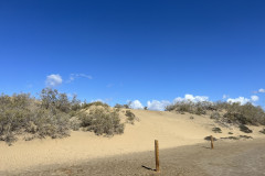 Dunele din Maspalomas, Gran Canaria 111