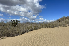 Dunele din Maspalomas, Gran Canaria 113