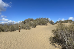 Dunele din Maspalomas, Gran Canaria 115