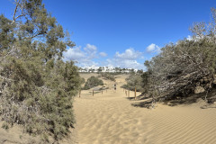 Dunele din Maspalomas, Gran Canaria 116