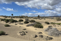 Dunele din Maspalomas, Gran Canaria 118