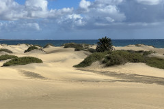 Dunele din Maspalomas, Gran Canaria 12