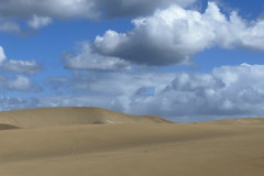 Dunele din Maspalomas, Gran Canaria 120