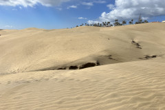 Dunele din Maspalomas, Gran Canaria 13