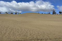 Dunele din Maspalomas, Gran Canaria 14