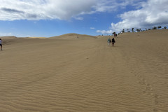 Dunele din Maspalomas, Gran Canaria 15