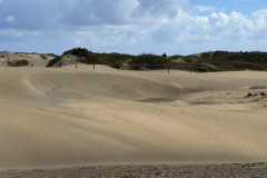 Dunele din Maspalomas, Gran Canaria 16