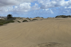 Dunele din Maspalomas, Gran Canaria 17